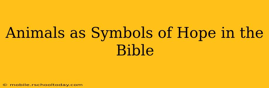 Animals as Symbols of Hope in the Bible