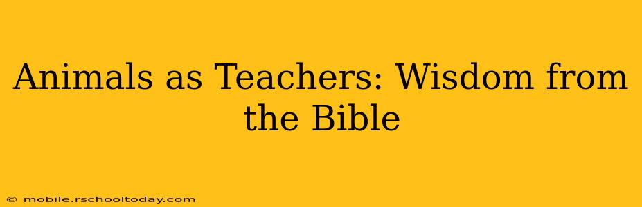 Animals as Teachers: Wisdom from the Bible