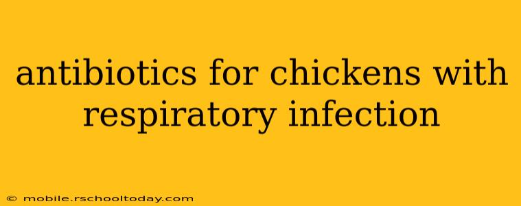 antibiotics for chickens with respiratory infection