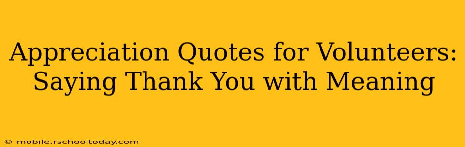 Appreciation Quotes for Volunteers: Saying Thank You with Meaning