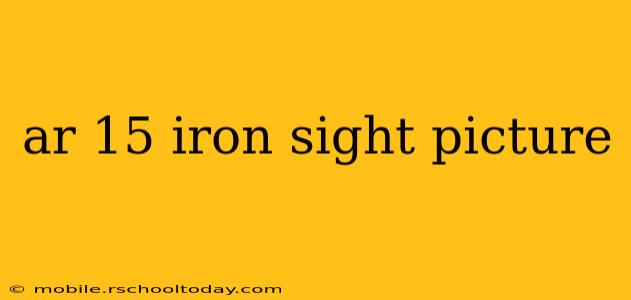 ar 15 iron sight picture