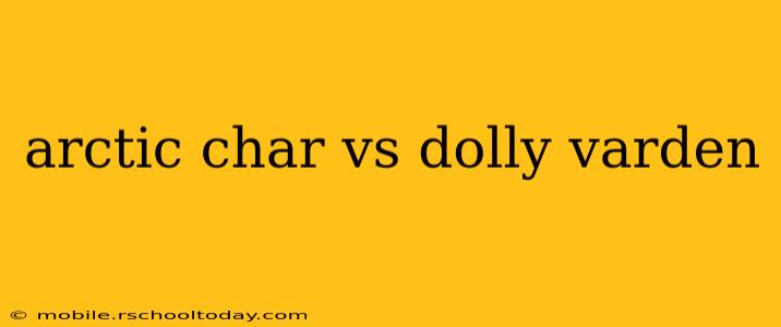 arctic char vs dolly varden