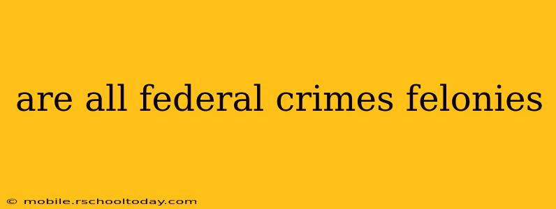 are all federal crimes felonies