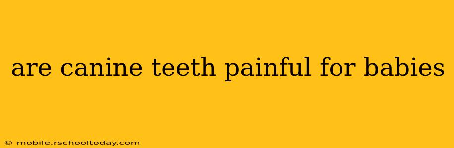 are canine teeth painful for babies