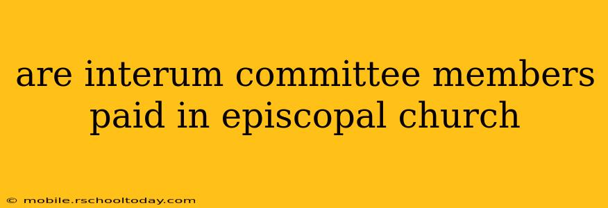 are interum committee members paid in episcopal church