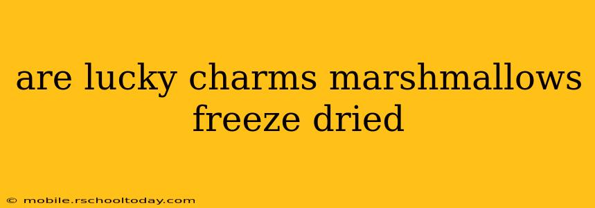 are lucky charms marshmallows freeze dried