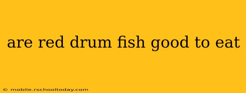 are red drum fish good to eat