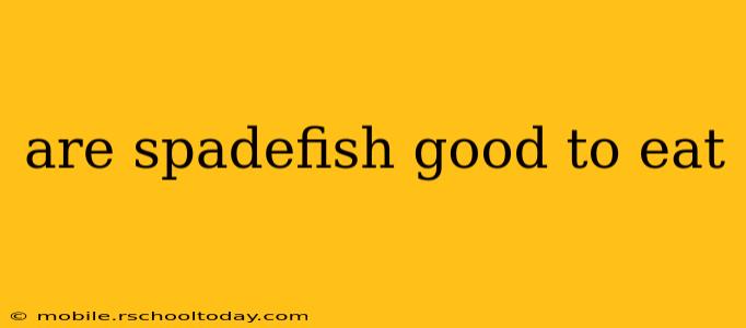 are spadefish good to eat