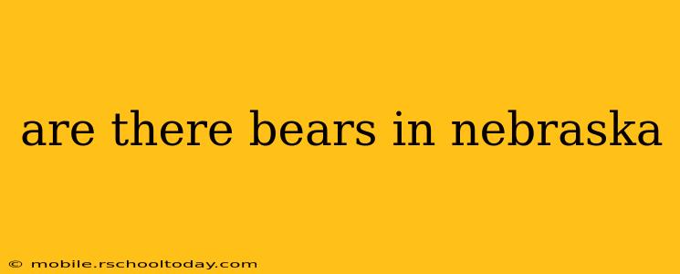 are there bears in nebraska