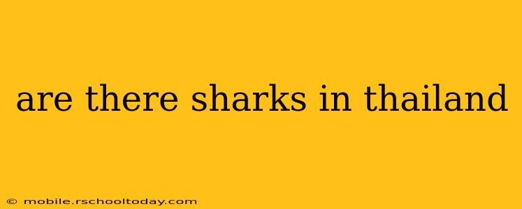 are there sharks in thailand