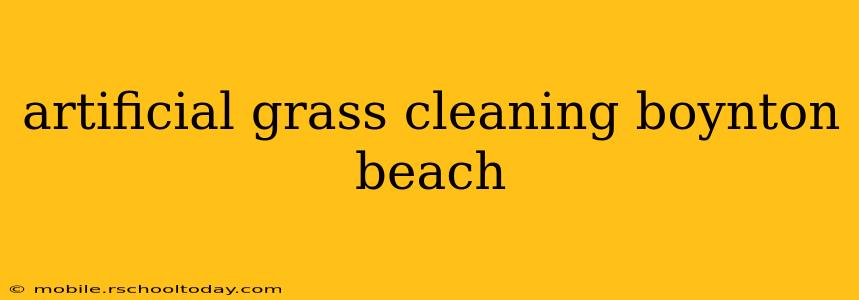 artificial grass cleaning boynton beach