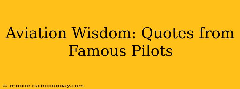 Aviation Wisdom: Quotes from Famous Pilots