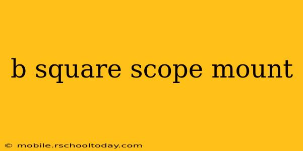 b square scope mount