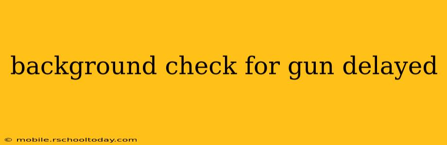 background check for gun delayed