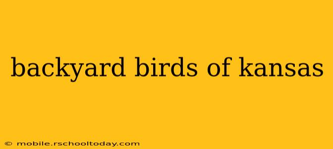 backyard birds of kansas