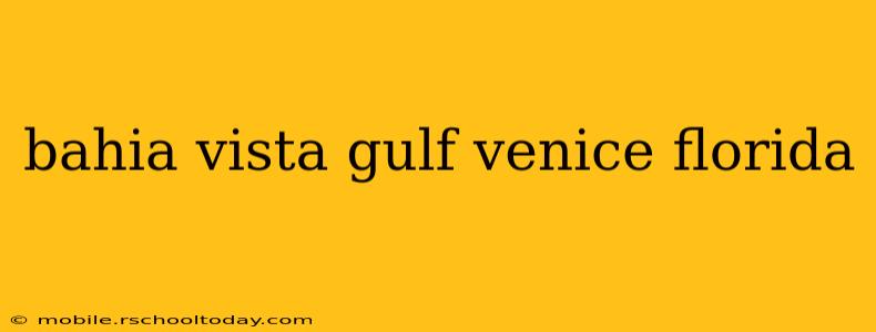 bahia vista gulf venice florida