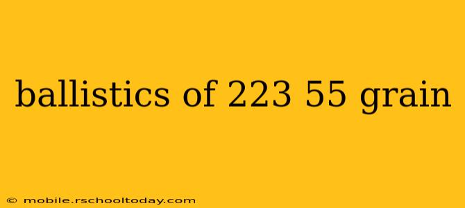 ballistics of 223 55 grain