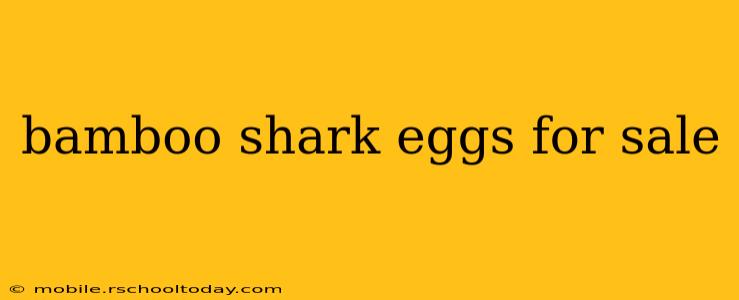 bamboo shark eggs for sale