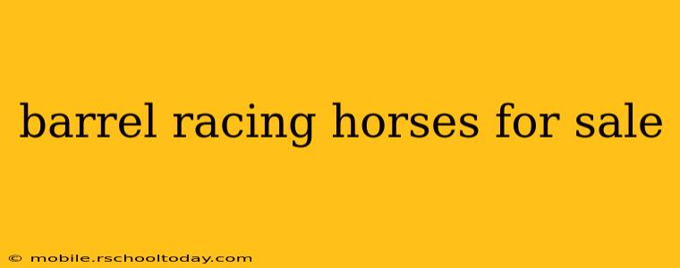 barrel racing horses for sale
