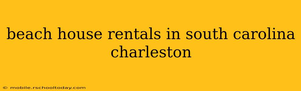 beach house rentals in south carolina charleston
