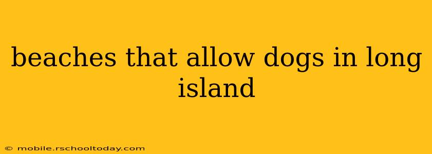 beaches that allow dogs in long island