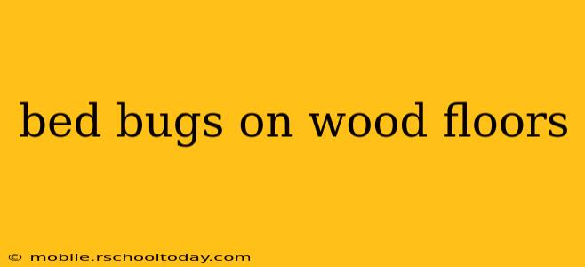 bed bugs on wood floors
