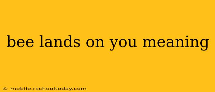 bee lands on you meaning