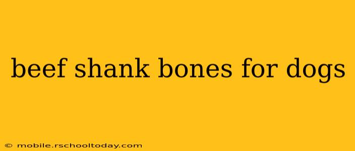 beef shank bones for dogs