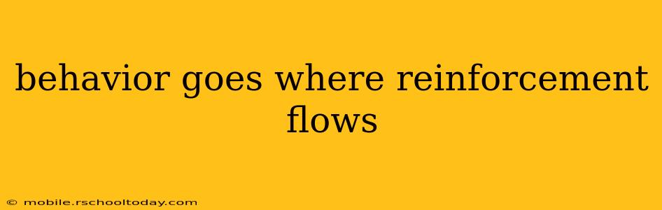 behavior goes where reinforcement flows