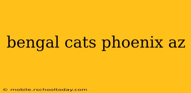 bengal cats phoenix az