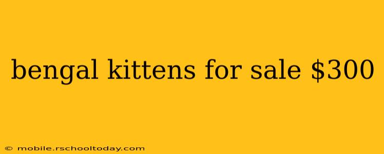 bengal kittens for sale $300