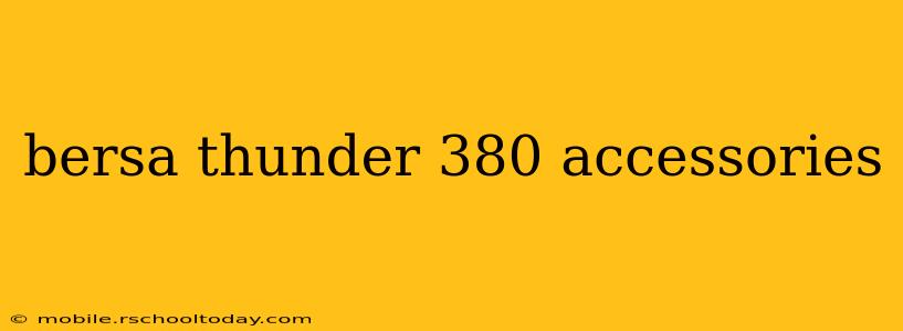 bersa thunder 380 accessories