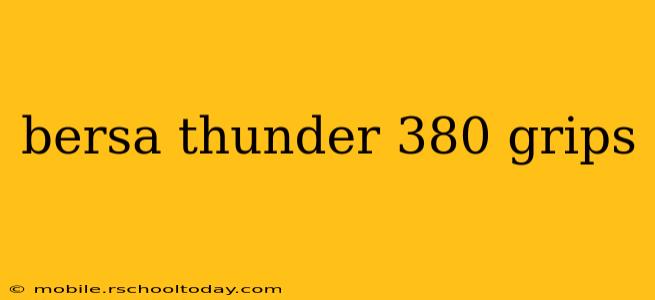 bersa thunder 380 grips