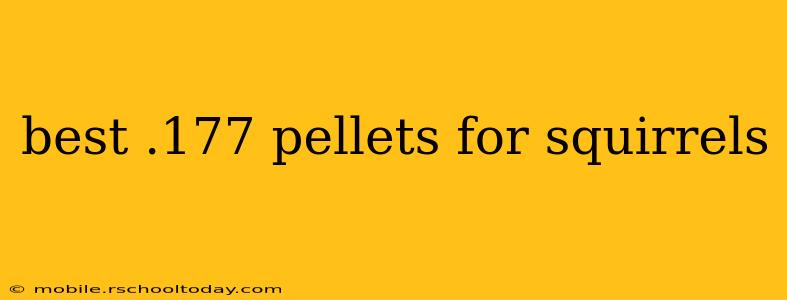 best .177 pellets for squirrels