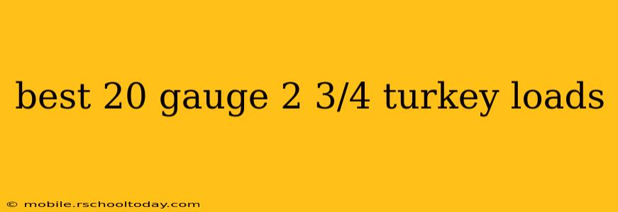 best 20 gauge 2 3/4 turkey loads