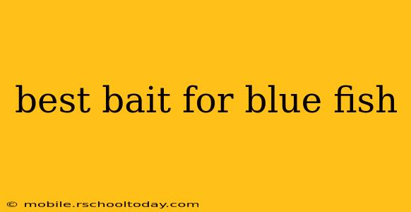 best bait for blue fish