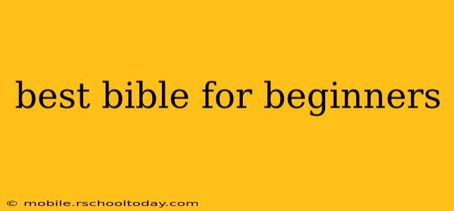 best bible for beginners