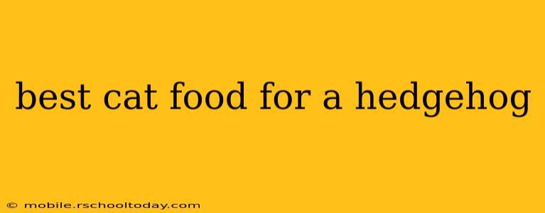 best cat food for a hedgehog