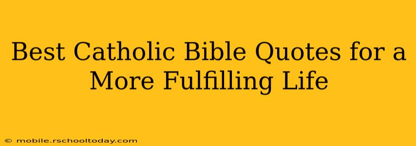Best Catholic Bible Quotes for a More Fulfilling Life