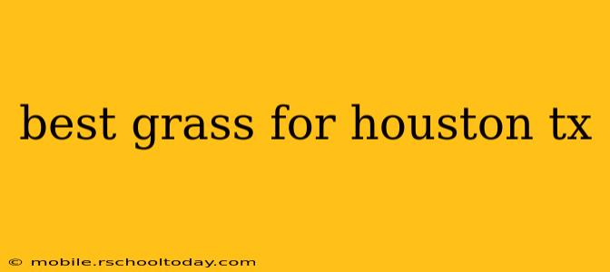 best grass for houston tx