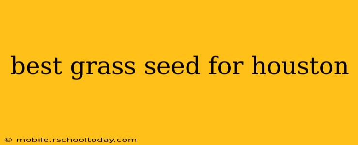 best grass seed for houston