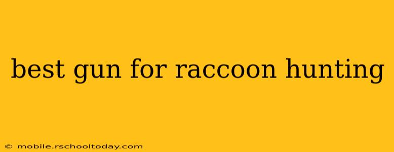 best gun for raccoon hunting