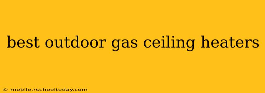 best outdoor gas ceiling heaters