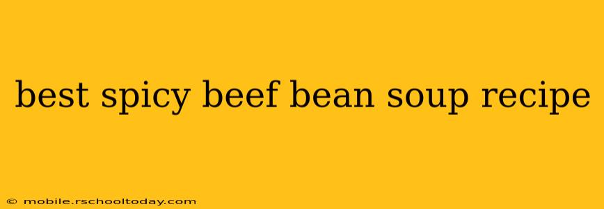 best spicy beef bean soup recipe