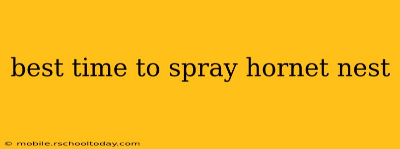 best time to spray hornet nest