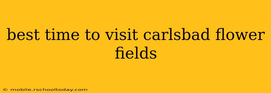 best time to visit carlsbad flower fields