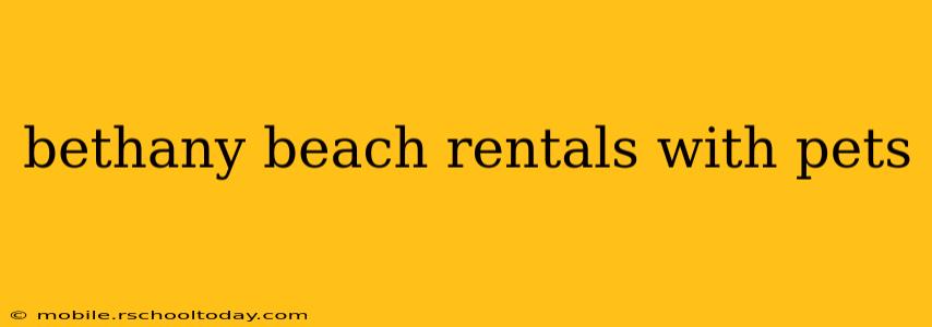 bethany beach rentals with pets