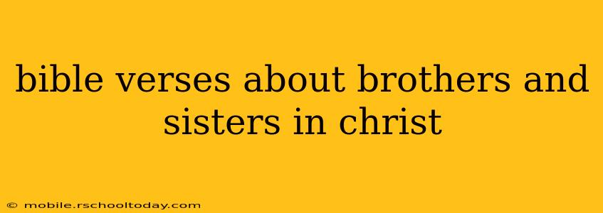 bible verses about brothers and sisters in christ