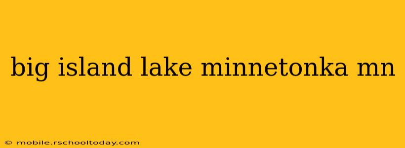 big island lake minnetonka mn