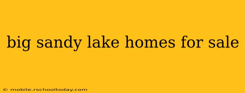 big sandy lake homes for sale